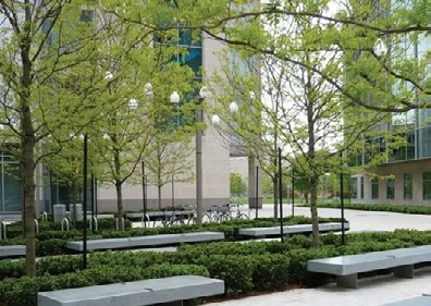 Greenery Landscape